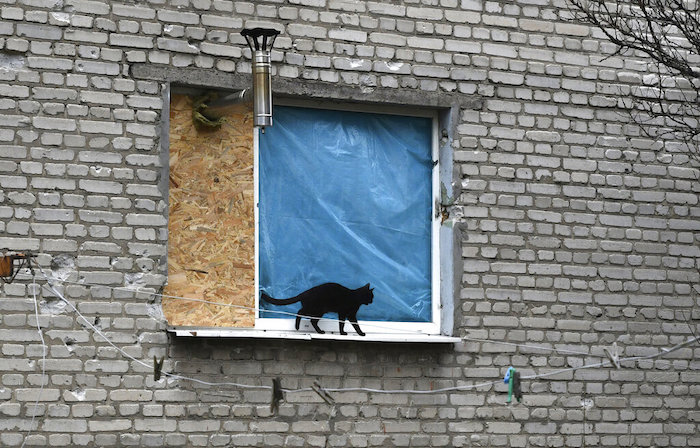 Un gato camina por el alféizar de una ventana donde se ve la chimenea de una estufa asomando en la ventana tapiada de un edificio de apartamentos en Lyman, en la región de Donetsk, Ucrania, el domingo 20 de noviembre de 2022.